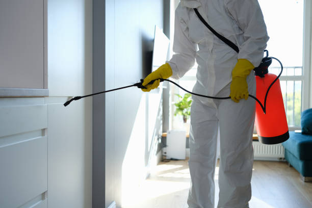 Best Crawl Space Mold Removal  in Dellwood, MN