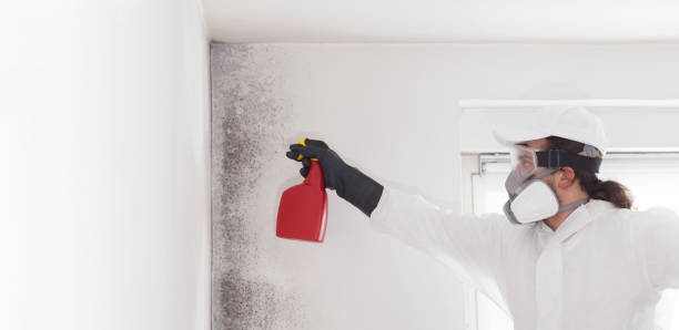 Best Mold Cleaning Services  in Dellwood, MN